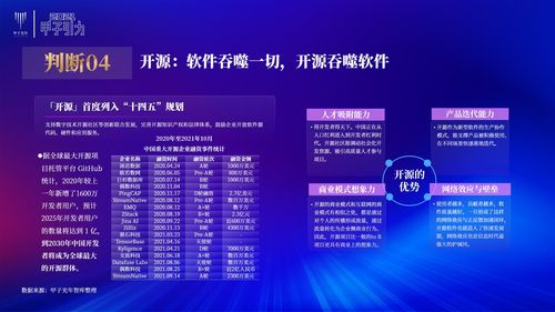 張一甲 2021中國數(shù)字經(jīng)濟(jì)50條判斷